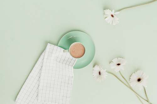 plant cup of beverage with daisies egg