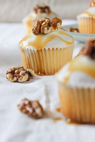 plant cupcake photography nut