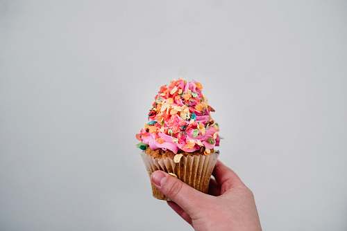 cake cupcake with sprinkles cupcake