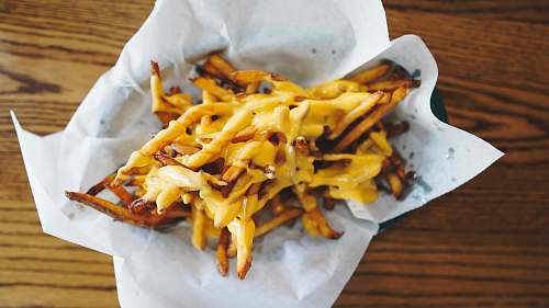 fries fires on paper animal