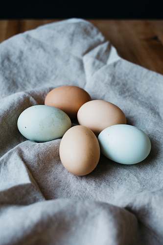 egg five broil eggs eggs