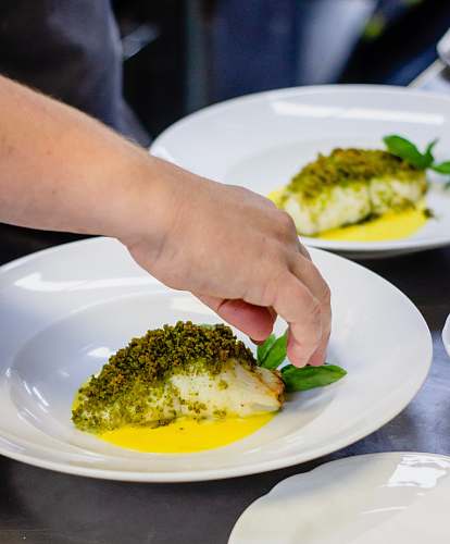 meal food preparation in plate dish