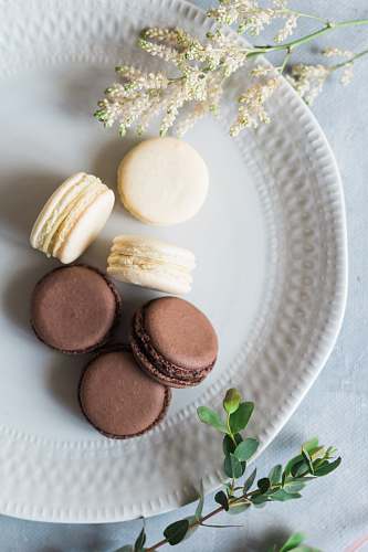 confectionery french macarons on plate sweets