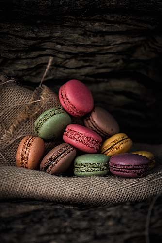 egg French macaroons on gray textile reptile