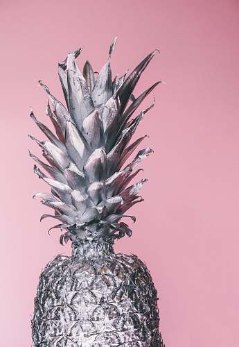 fruit gray pineapple ornament pineapple