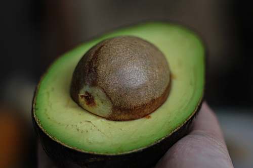 fruit green alligator pear avocado
