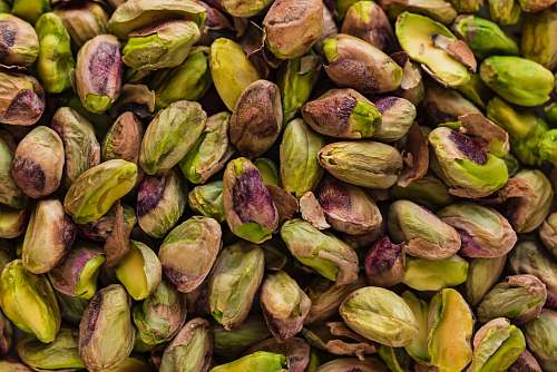 plant green-and-brown fruits vegetable