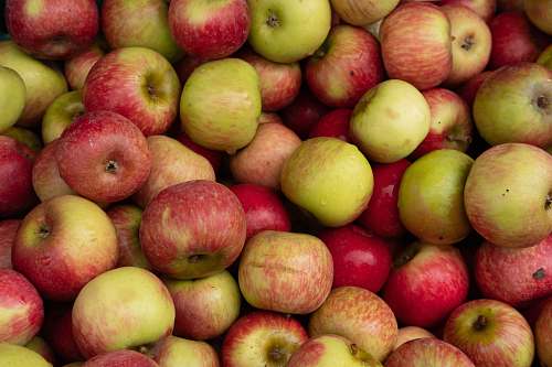 plant green and red apples fruit