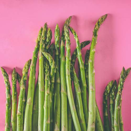 plant green asparagus vegetables on pink surface asparagus