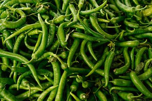 vegetable green chili turkey