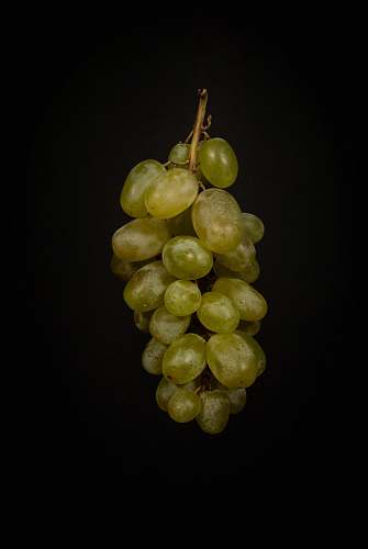 fruit green grape fruits grapes