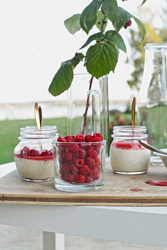 plant green-leafed plant in jar raspberry