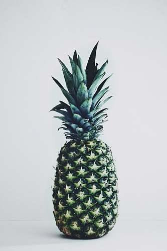 fruit green pineapple on white background pineapple