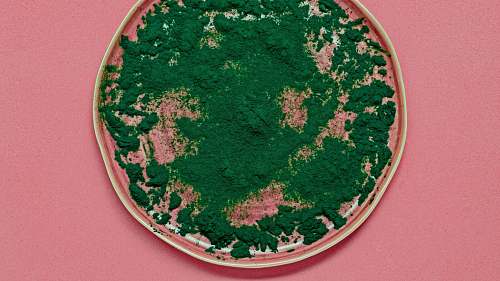 meal green powder on round pink lid dish