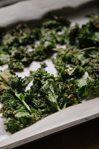 vegetable green vegetable plants kale