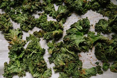 kale green vegetables on top of white board cabbage
