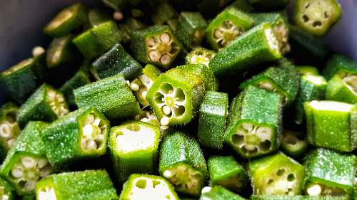 plant green vegetables produce
