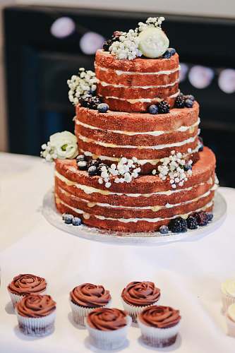 cake icing-covered cake beside cupcakes cupcake