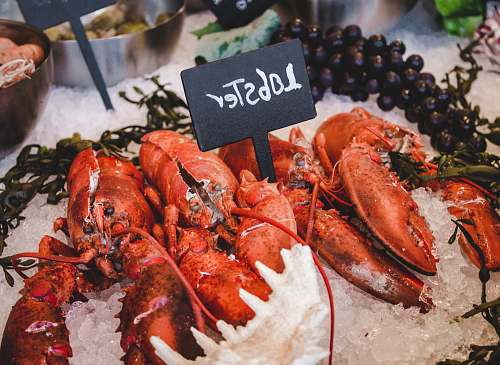 seafood lobster on icy tray lobster