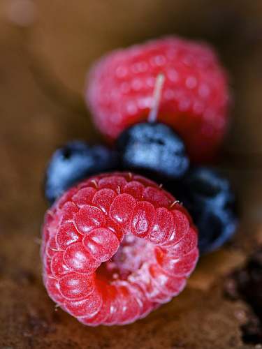 plant macro photography of raspberry and blueberries blueberry