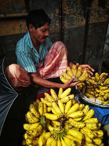 plant man holding bunch of bananas banana