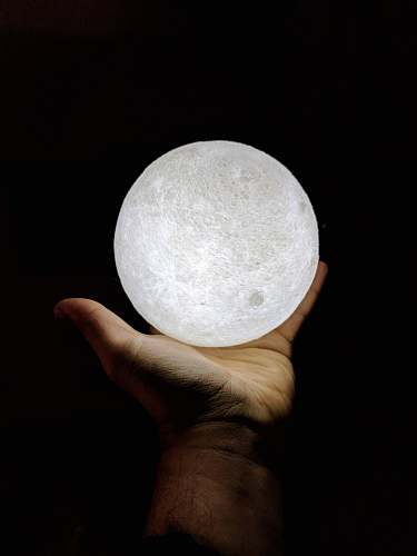 egg Moon nature