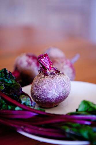 vegetable onion on white plate potted plant