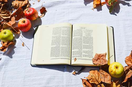book opened white book beside apples apple