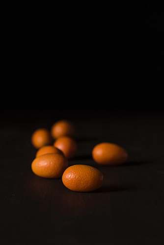fruit orange fruit plant