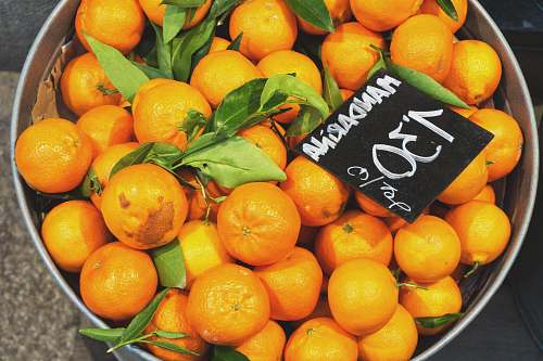 fruit orange fruit lot plant