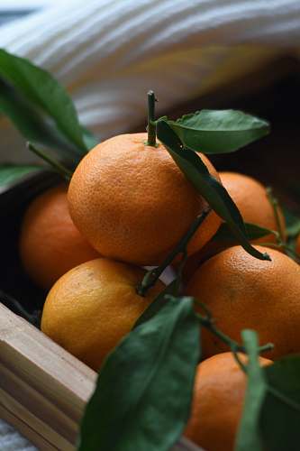 plant orange fruit on brown wooden tray fruit