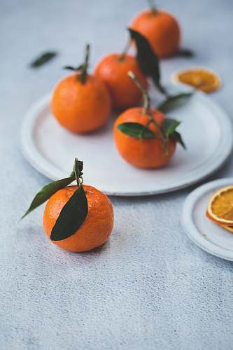 fruit orange fruits on white plate orange