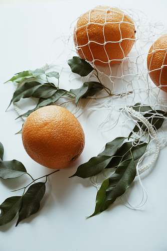 plant orange fruits on white surface fruit