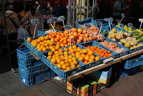 fruit oranges on blue plastic crates citrus fruit