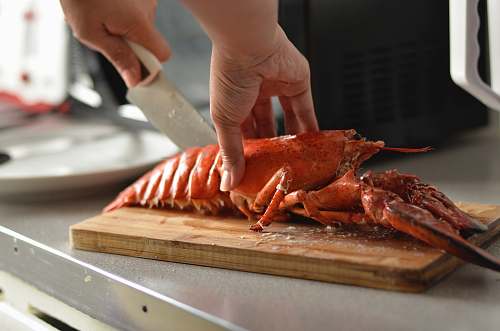animal person cutting lobster lobster