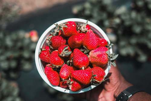 fruit person holding bowl full of strawberries plant