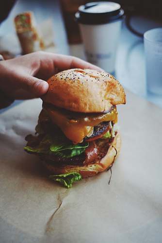 burger person holding burger beside white disposable cup cheeseburger