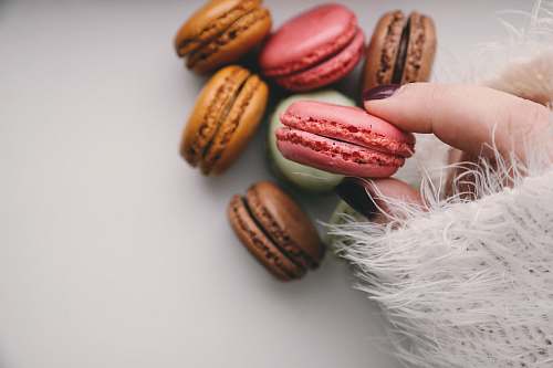 hand person holding french macarons macaroon