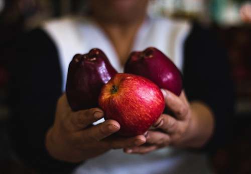 apple person holding three apples fruit