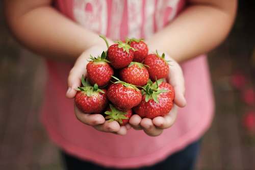 fruit person holds ripe strawberries plant