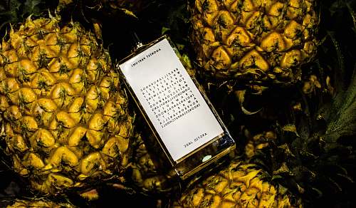 plant phone on pineapple book