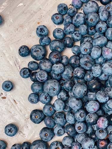 fruit photo of blue berries blueberry
