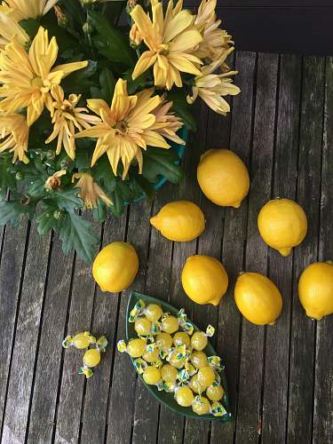 fruit photo of lemons and yellow flowers citrus fruit