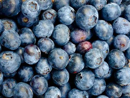 fruit pile of blueberries blueberry