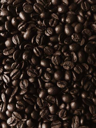 produce pile of coffee beans bean