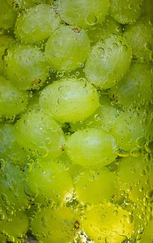 fruit pile of green grapes grapes