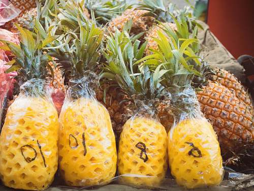 fruit pine apple fruits plant