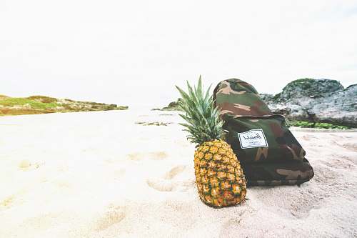 fruit pineapple beside backpack pineapple