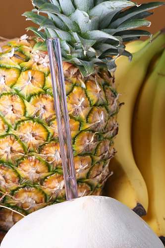 fruit pineapple beside banana plant