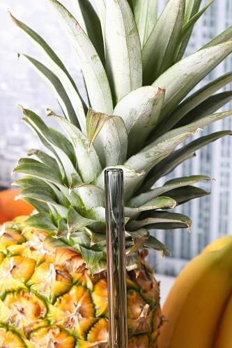 fruit pineapple beside bananas plant